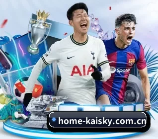 home-kaisky.com.cn APP